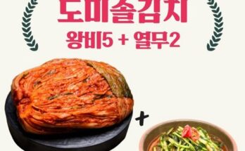 엄마들 사이에서 난리난 도미솔김치 김장5종 추천 리뷰