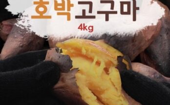 가성비 끝판왕 화산농협 특등급 해남 황토 호박고구마 4kg4kg 추천 베스트8