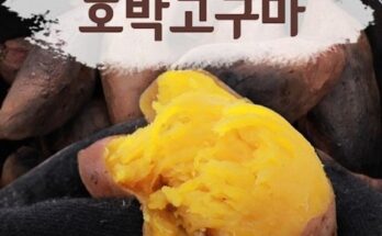 어머 이건 사야해!! 2023 화산농협 해남 황토 호박고구마 8kg  SM 사이즈 추천 순위 Top8