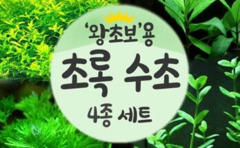 홈쇼핑에서 5분만에 품절된 전경수초 추천상품