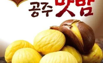 이번주 추천상품 농가애 국산밤으로 만든 공주맛밤 50g  30봉 리뷰 추천